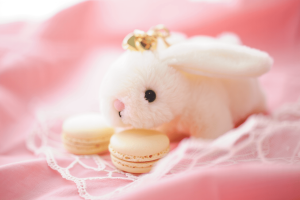 Móc khóa bông mềm hình thỏ trắng